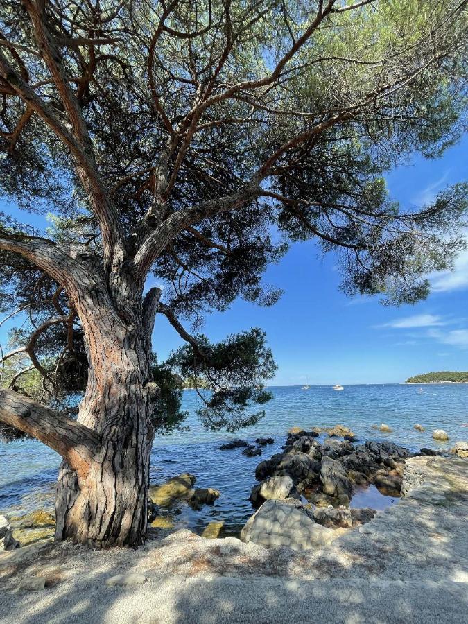 Clorinda Sea View Free Parking Leilighet Rovinj Eksteriør bilde